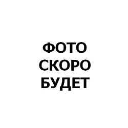 Тимохина Ксения Михайловна